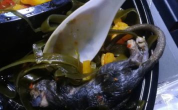 大学生在外卖中吃出整只老鼠 咬了尾巴一口以为是海带 大学生在外卖中吃出整只老鼠 咬了尾巴一口以为是海带