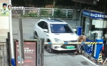 女司机二月份拿证，开车半年就撞死人，咋回事？