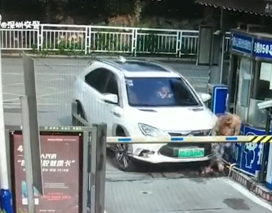 女司机二月份拿证，开车半年就撞死人，咋回事？