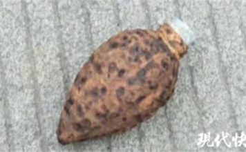 这个随时会爆的手雷,男孩居然玩了三年 这个随时会爆的手雷,男孩居然玩了三年