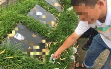 女子深夜打开微信运动榜 发现亡父走了 2000 步 女子深夜打开微信运动榜 发现亡父走了 2000 步