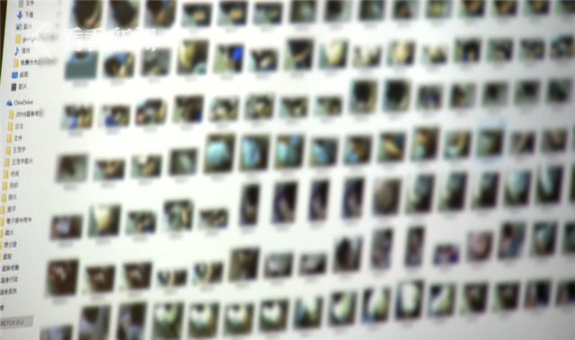 补习班班主任偷拍五年藏 40G 硬盘 上百女性受害