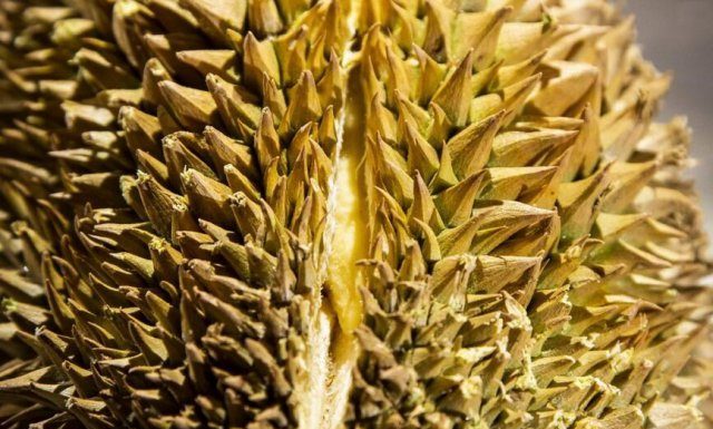 瑞典要开“恶心食物博物馆”!入选最多的是中国美食