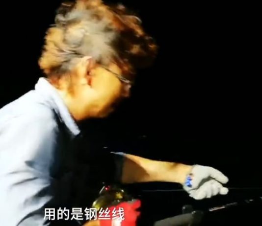 天呐！福建一男子海钓，竟钓到 400 斤的鲨鱼！