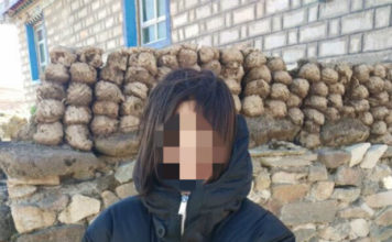 揭秘“虫草姑娘”:30 人团队打造,凌晨 2 点发朋友圈 揭秘“虫草姑娘”:30 人团队打造,凌晨 2 点发朋友圈