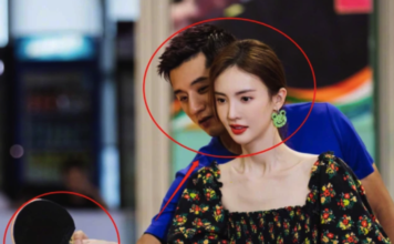 张继科表白金晨语出惊人,金晨却直言适合做兄弟,理由过于真实了 张继科表白金晨语出惊人,金晨却直言适合做兄弟,理由过于真实了