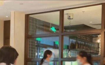 人狗同桌进餐引争议,北京一餐厅道歉:员工未严格遵守规则 人狗同桌进餐引争议,北京一餐厅道歉:员工未严格遵守规则