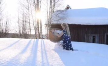 “北欧李子柒”雪地露肩短袖晾衣服,网友:代入感太强,手已经冻掉了