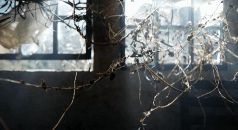 有人靠「摆烂」摆出了一套房?! 有人靠「摆烂」摆出了一套房?!
