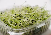 CDC:Everything Sprouts苜蓿芽菜关联15州55人感染大肠杆菌与沙门氏菌,4人住院 超市常见的盒装新鲜芽菜特写,美国疾控中心通报Everything Sprouts苜蓿芽菜关联大肠杆菌与沙门氏菌疫情