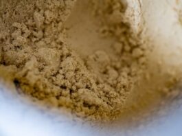 植物蛋白粉容器特写，提醒关注蛋白粉重金属检测与食品安全
