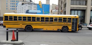 美国校车停在市区路口旁、斑马线附近，提醒开学季注意校车与行人安全