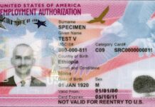 9 月 15 日起 USCIS 拒收旧版 I-539 / I-765:延期身份、申请工卡前先核对表格版本 USCIS 签发的工卡(EAD)实拍,提醒申请人注意 I-765 新版表格要求