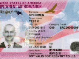 USCIS 签发的工卡（EAD）实拍，提醒申请人注意 I-765 新版表格要求