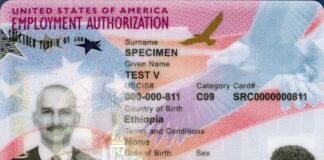 USCIS 签发的工卡（EAD）实拍，提醒申请人注意 I-765 新版表格要求