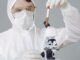 FDA批准胰腺癌靶向药Rasonque 实验室研究人员查看试管样本的示意照片,仅为说明医学研究主题,并非Rasonque临床试验现场