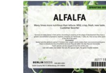 FDA通报Berlin Seeds苜蓿芽苗种子大肠杆菌沙门氏菌召回 FDA召回相关产品图:Berlin Seeds苜蓿芽苗种子包装袋