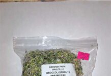 FDA通报Evergreen西兰花芽苗菜沙门氏菌召回 FDA召回页产品图:Evergreen西兰花芽苗菜透明袋装