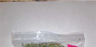 FDA通报Evergreen西兰花芽苗菜沙门氏菌召回 FDA召回页产品图:Evergreen西兰花芽苗菜透明袋装