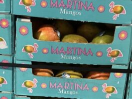 FDA召回页产品图：Martina品牌箱装芒果