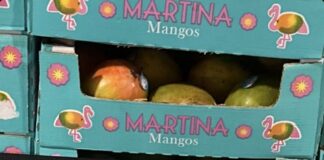 FDA召回页产品图：Martina品牌箱装芒果