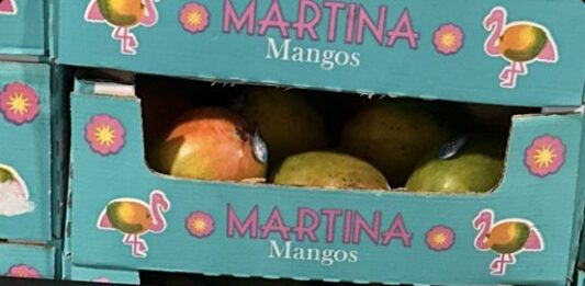 FDA召回页产品图：Martina品牌箱装芒果