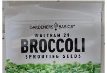 FDA通告中的Gardeners Basics Waltham 29西兰花芽苗种子1磅包装产品图