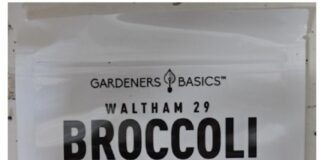 FDA通告中的Gardeners Basics Waltham 29西兰花芽苗种子1磅包装产品图